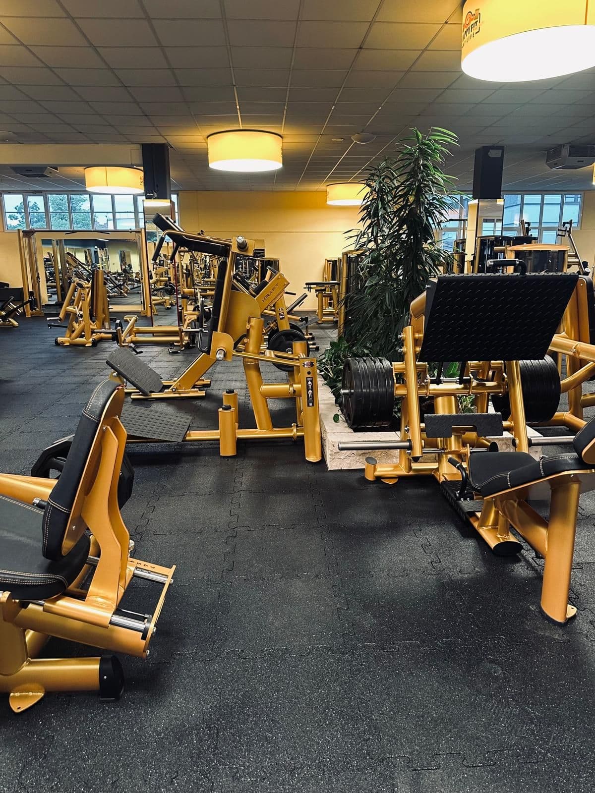 Braunau HappyFit Club