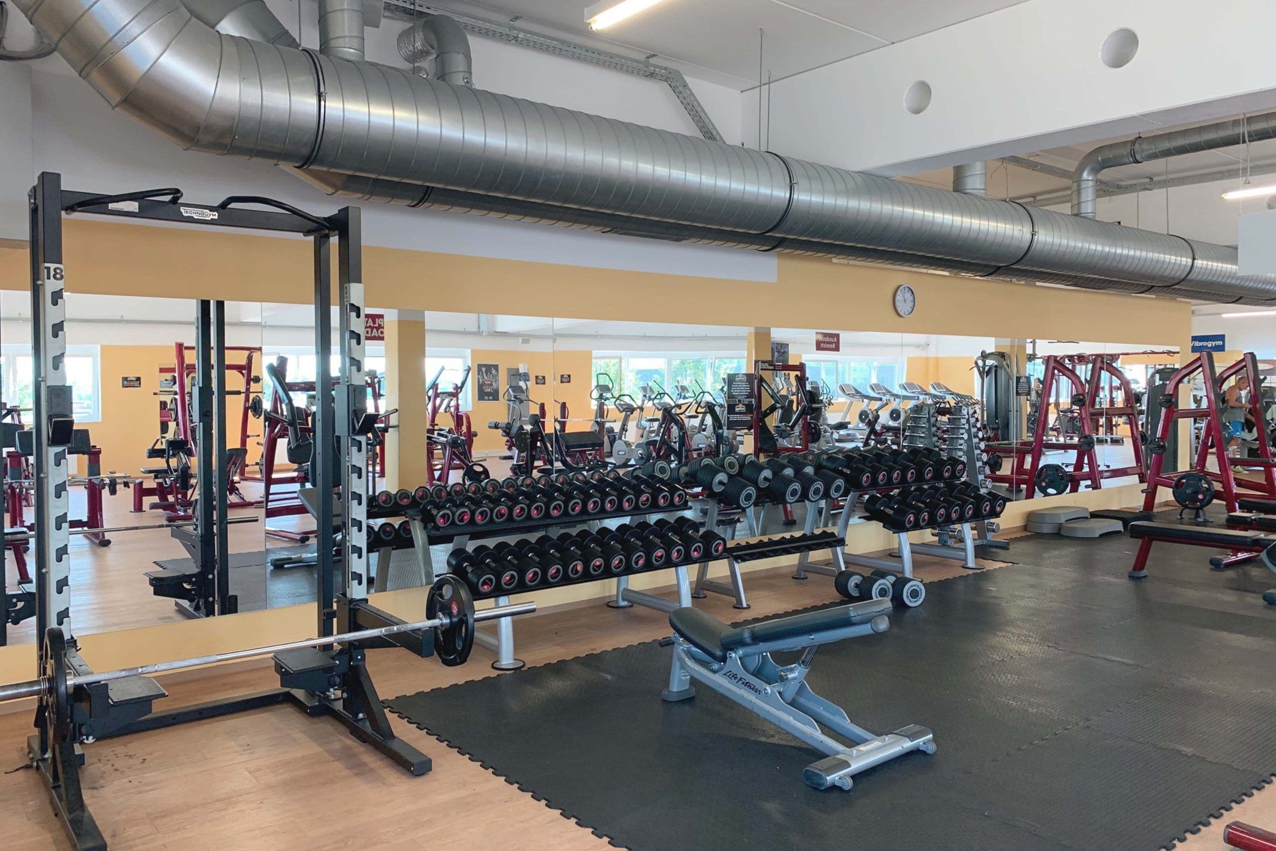 HappyFit Walding Trainingsfläche