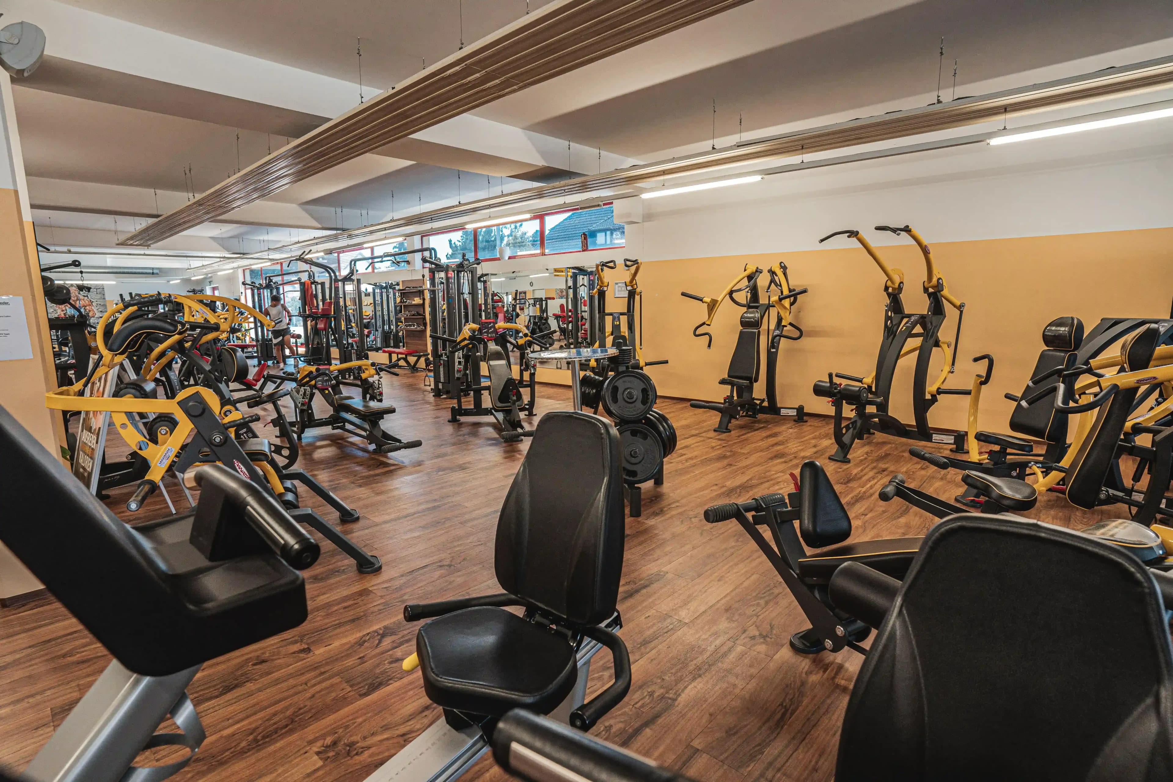 Marchtrenk Studiofoto Nr3