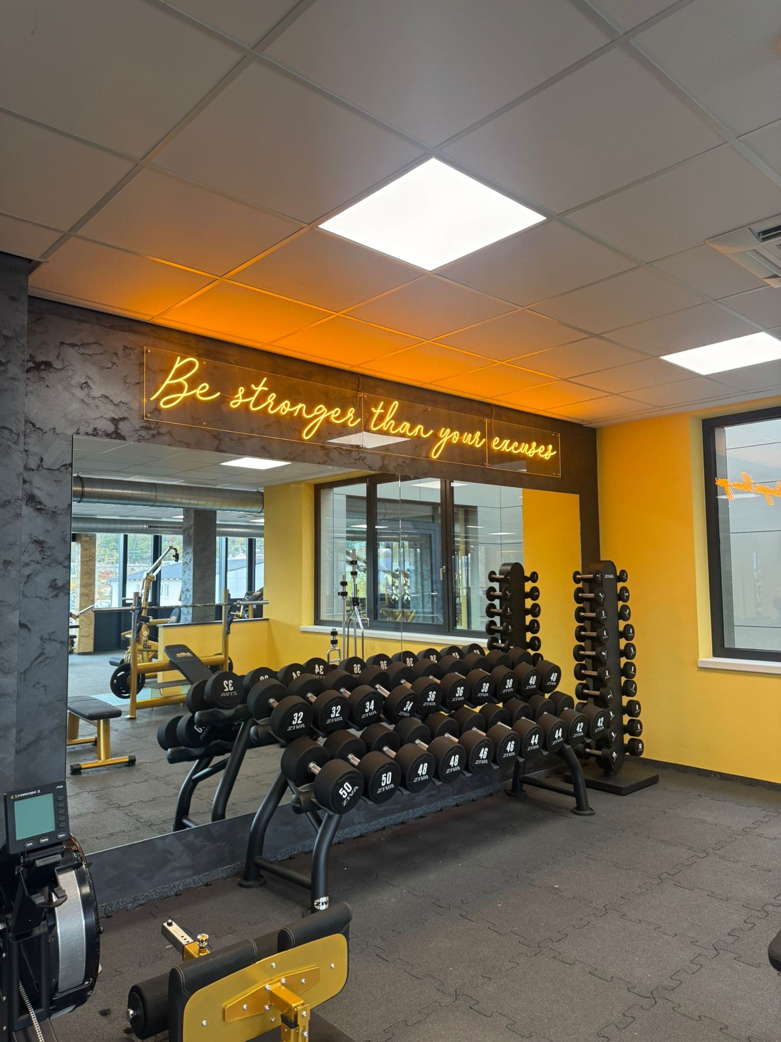 HappyFit Steyregg Freihantelzone