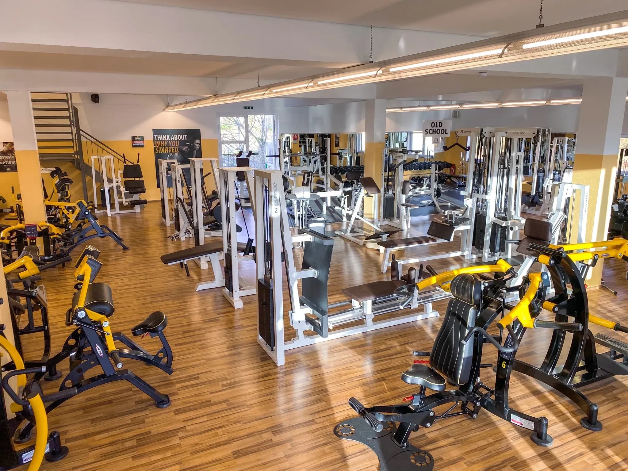 Merzig Studiofoto Nr3