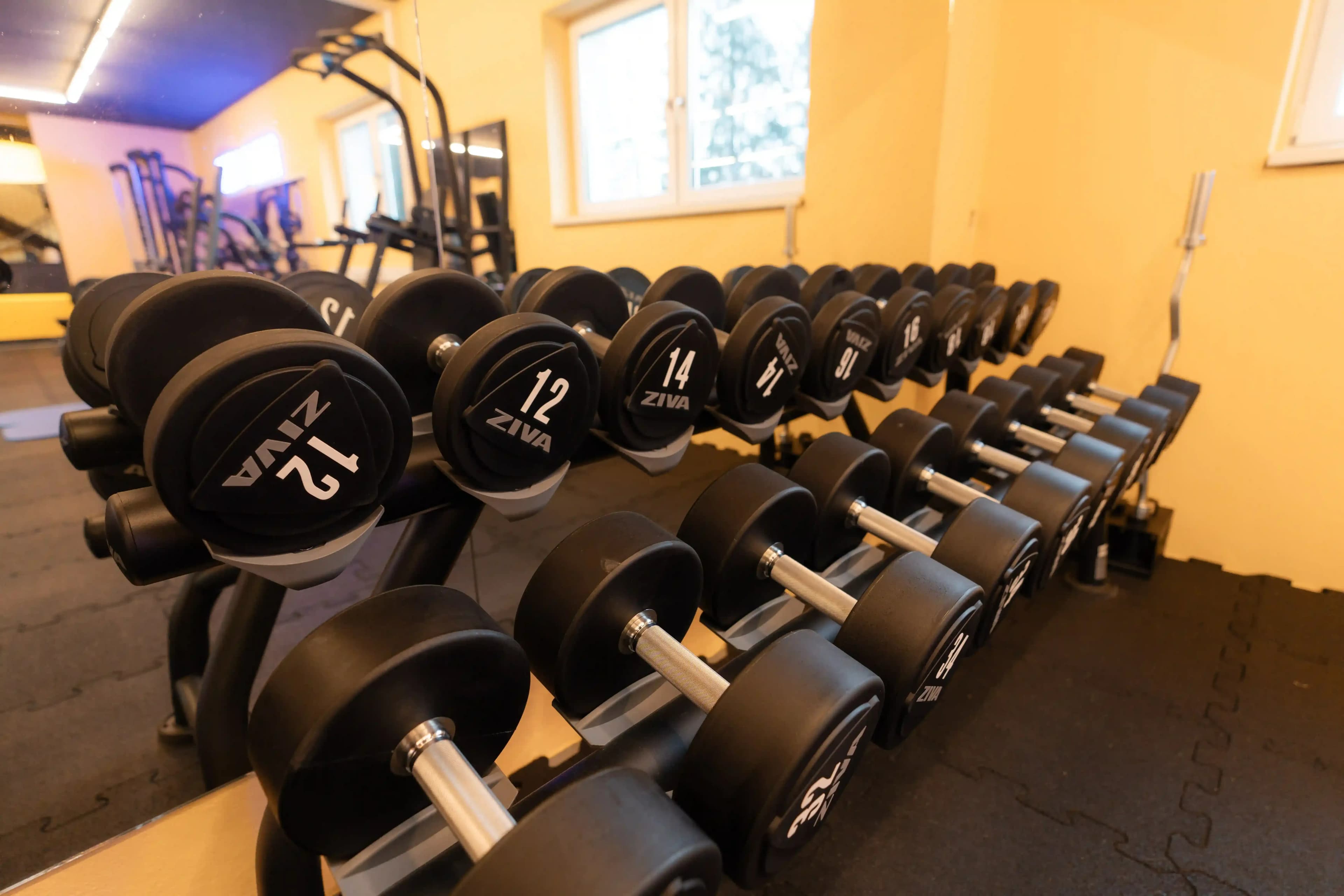 Stkonrad Studiofoto Nr52