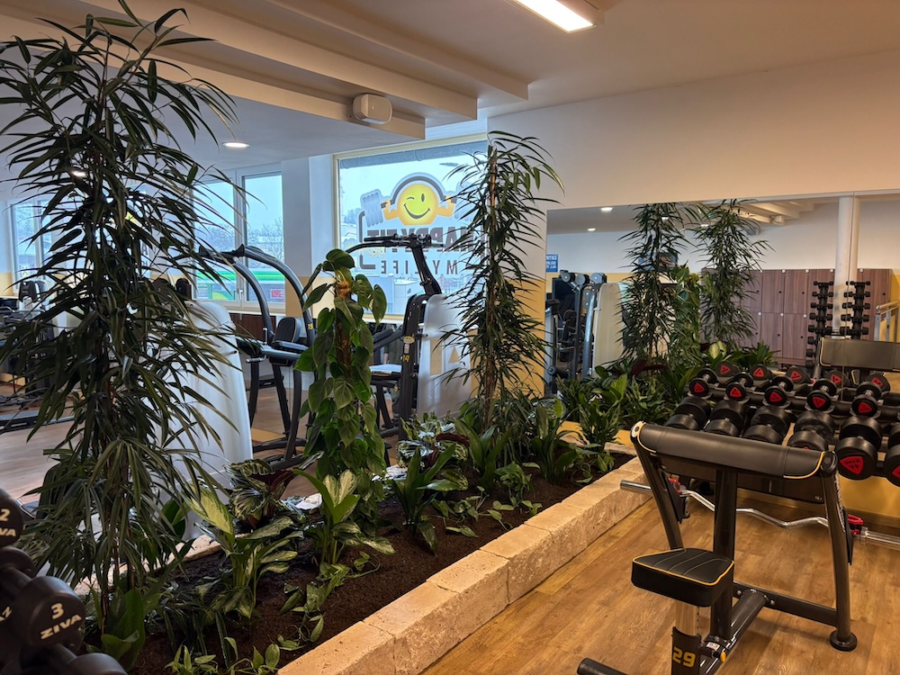 Aigen Schlägl Pflanzeninsel HappyFit