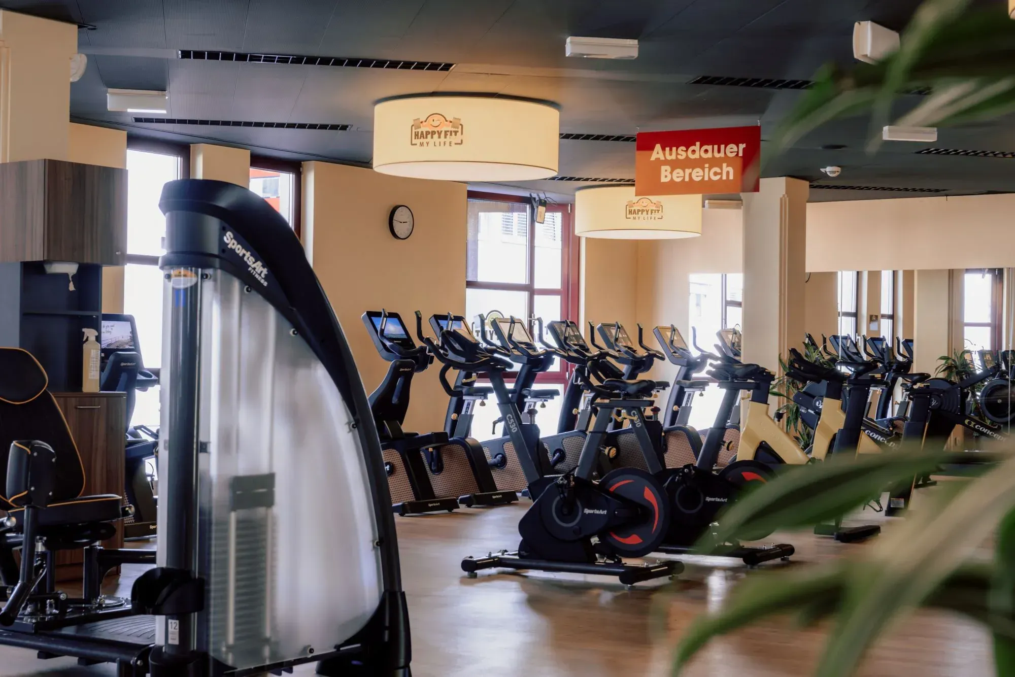 Linz Zentrum Studiofoto Nr12