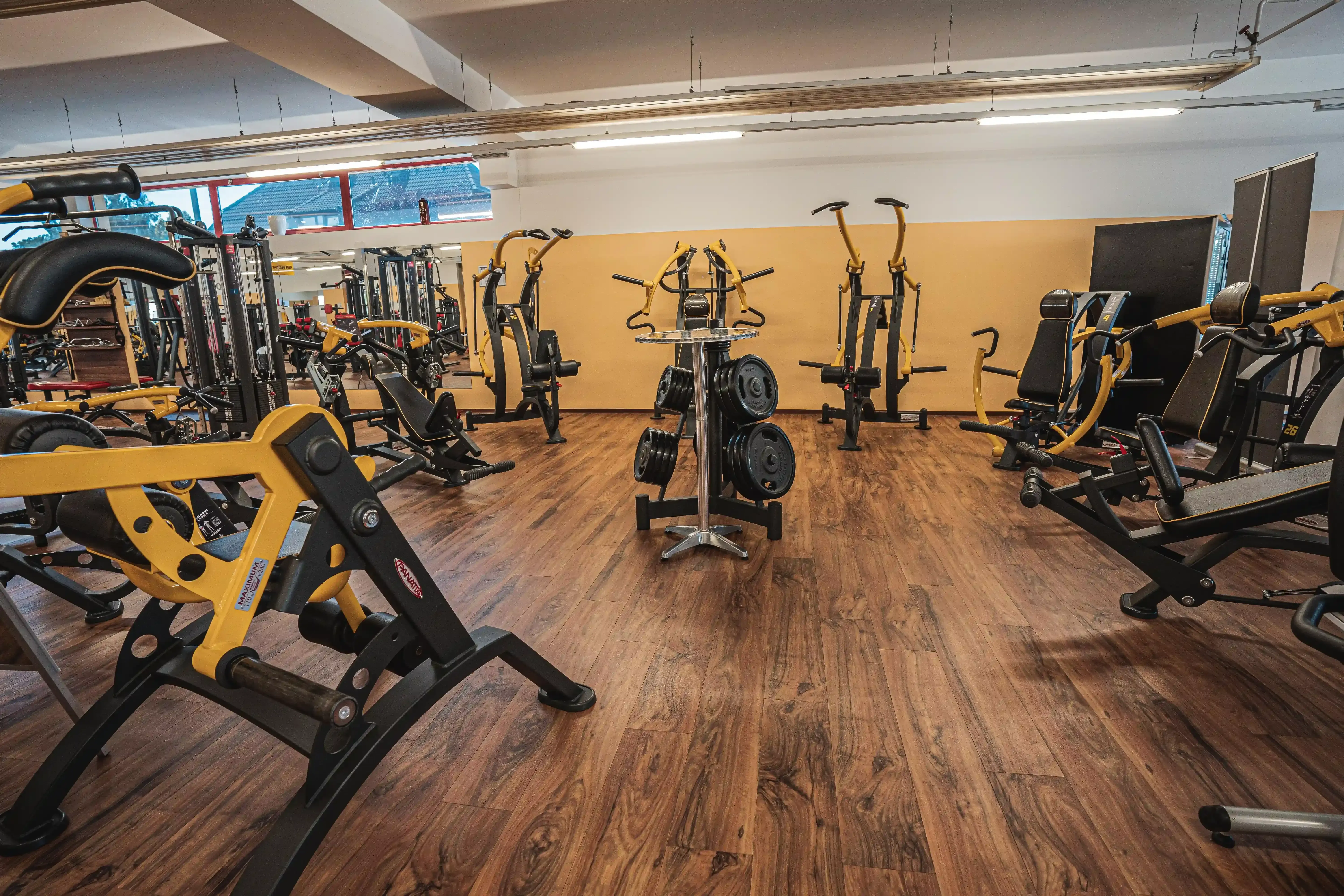 Marchtrenk Studiofoto Nr2