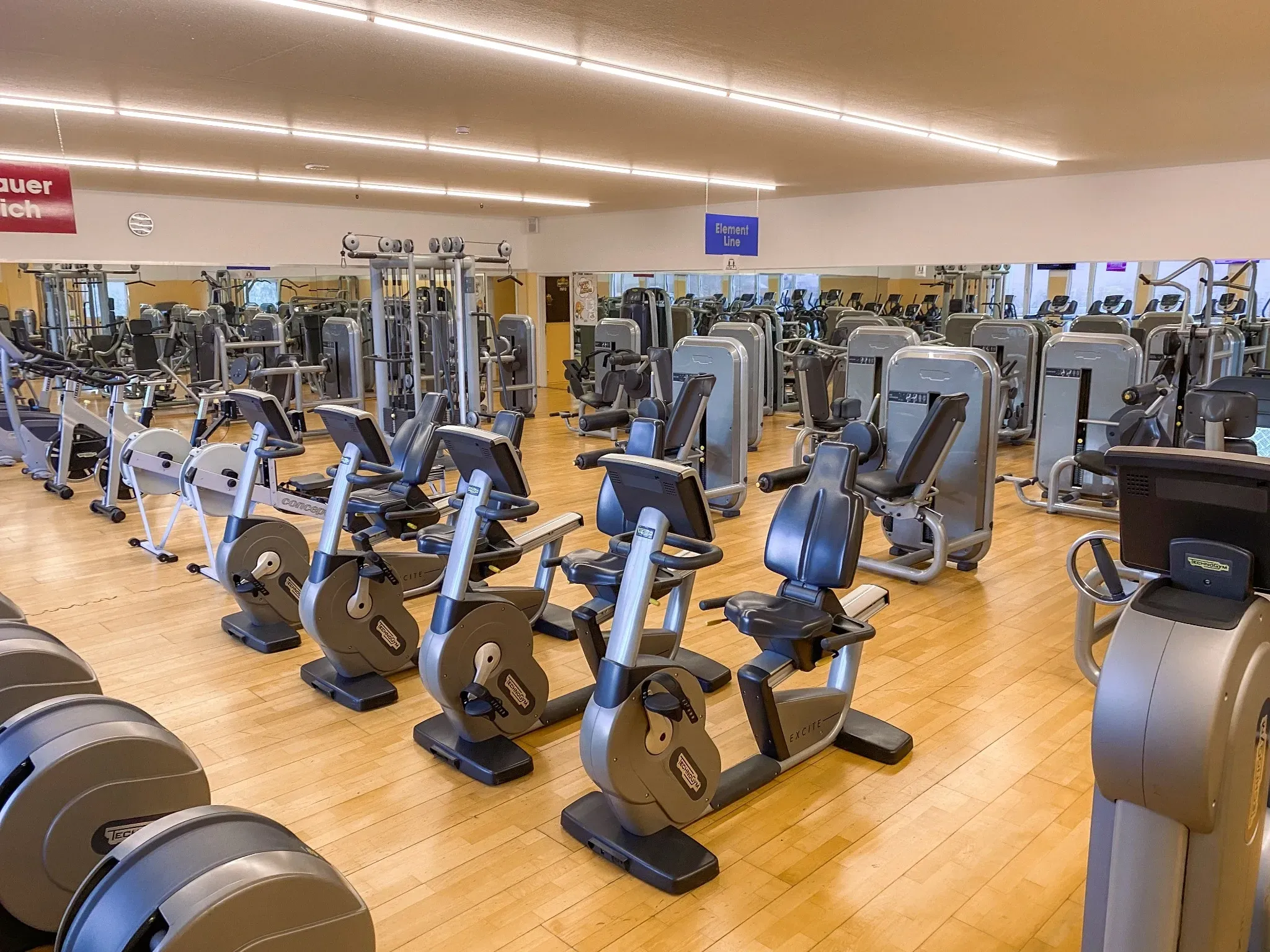 Merzig Studiofoto Nr5