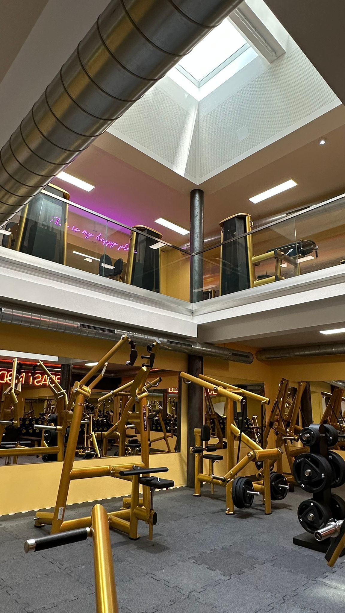 Wien Studio Trainingsfläche Untergeschoss/Erdgeschoss