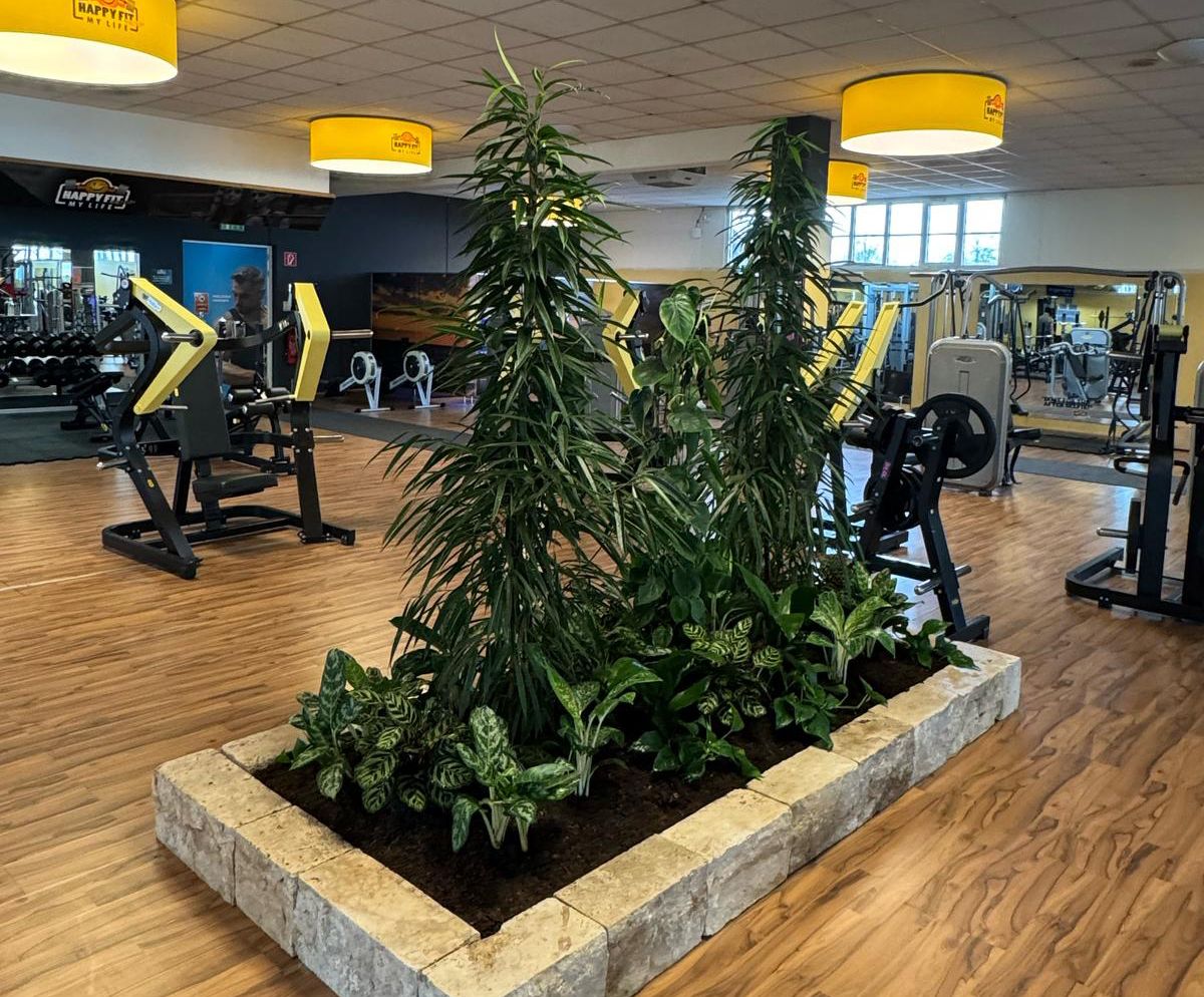 Happy Fit Pflanzeninsel