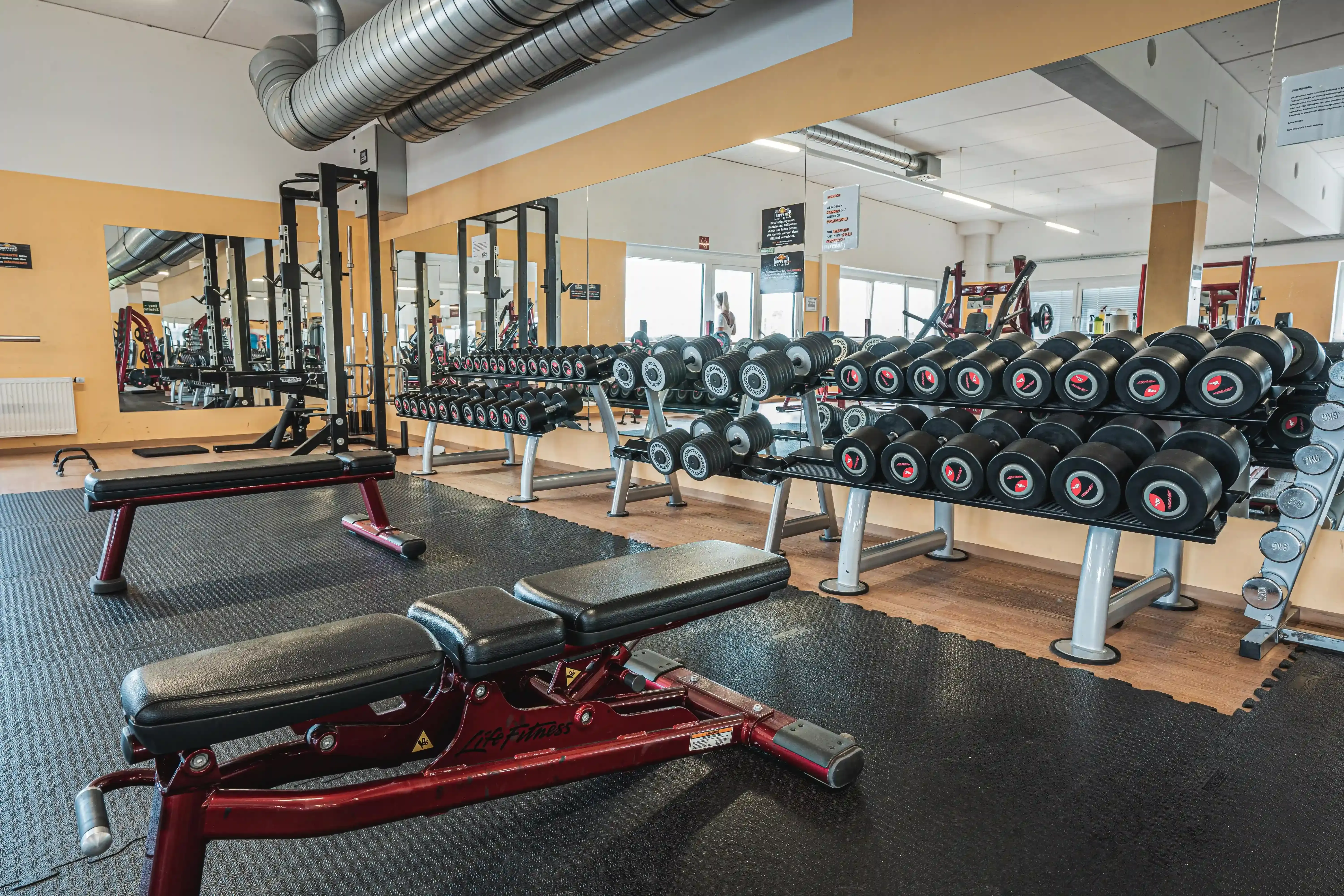 Walding Studiofoto Nr8