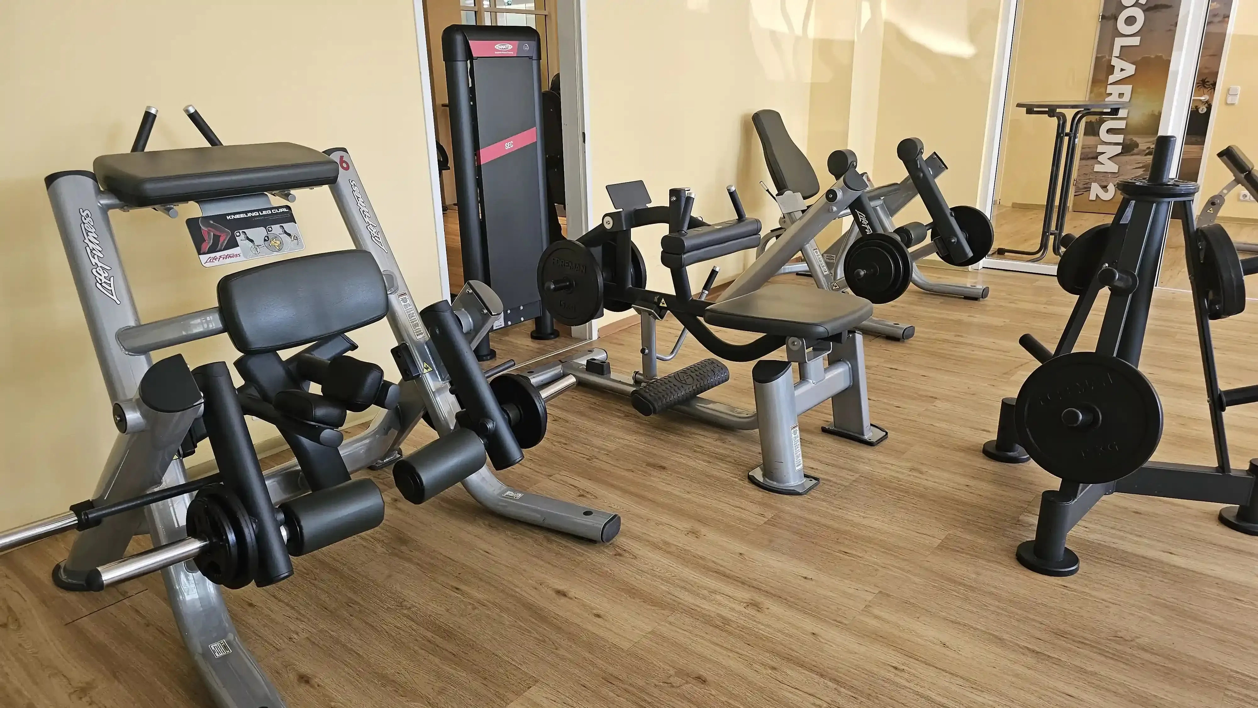 Studiofoto Bizepscurl + Wadenheber