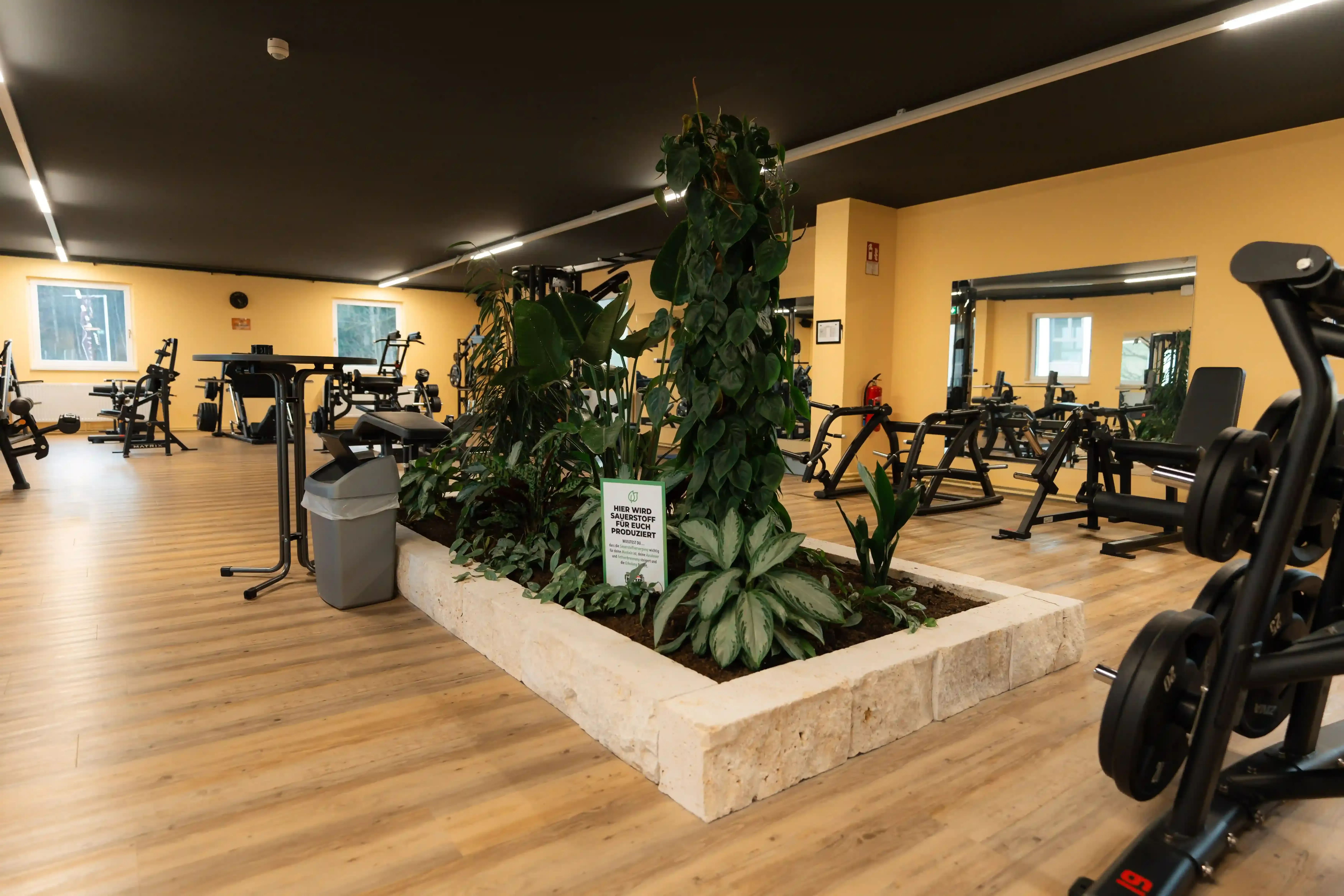 Stkonrad Studiofoto Nr57